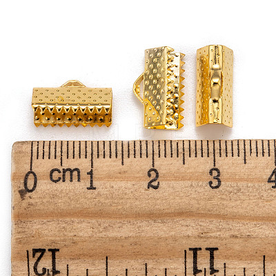 Ribbon Crimp Ends LS-X-E005Y-G-1