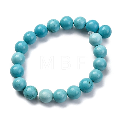 Dyed Natural Magnesite Beads Strands G-P558-A01-01B-1