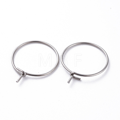 316 Surgical Stainless Steel Hoop Earring Findings STAS-J025-01H-P-P-1