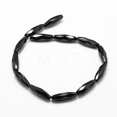Natural Black Onyx Beads Strands G-P161-27-30x10mm-1