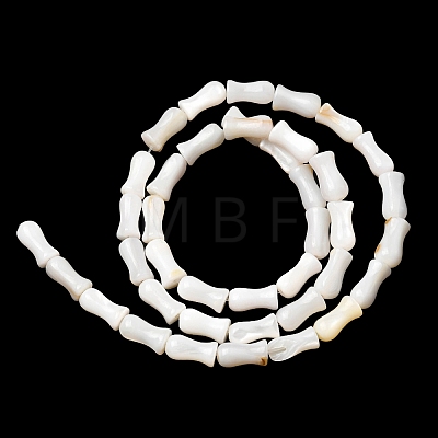 Natural Freshwater Shell Beads Strands SHEL-K006-08-1