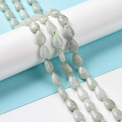 Natural Myanmar Jade/Burmese Jade Beads Strands G-C238-10-1