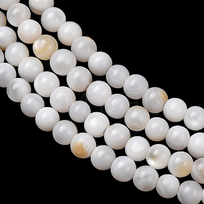 Natural Freshwater Shell Beads Strands SH-CBA2978-07D-02-1