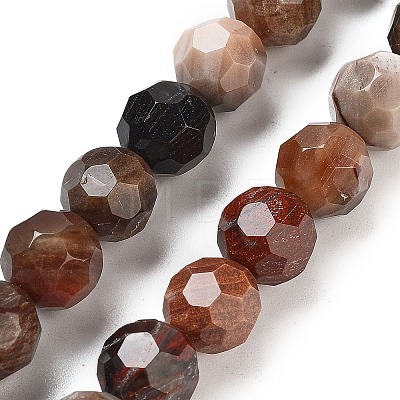 Natural Petrified Wood Beads Strands G-C150-B01-02-1