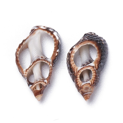 Natural Spiral Shell Beads BSHE-I016-05-1