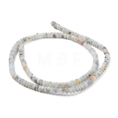 Natural Gemstone Beads Z284S011-1