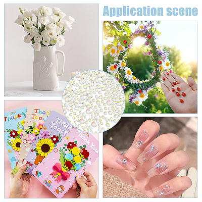 5 Bags Glass Cabochon MRMJ-WR0001-03-1