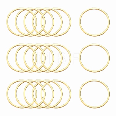 Ion Plating(IP) 304 Stainless Steel Linking Ring X-STAS-S079-13-B02-NF-1