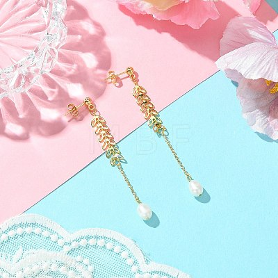 Natural Cultured Freshwater Pearl Beads & Brass Dangle Stud Earrings for Women EJEW-TA00555-1