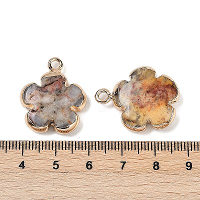 Natural Crazy Agate Pendants G-P566-01G-05-1