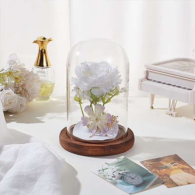 Glass Dome Cover DIY-WH0110-22-1