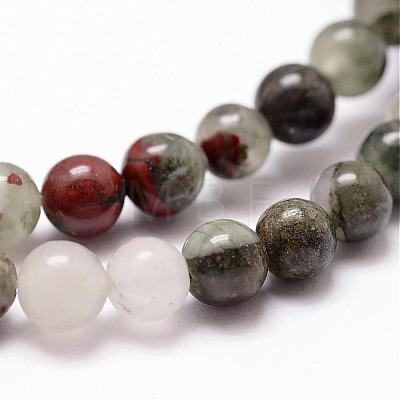 Natural African Bloodstone Beads Strands G-D840-66-8mm-1