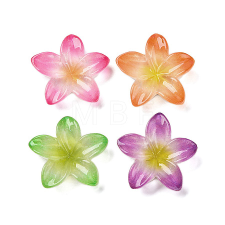 Opaque Resin Cabochons RESI-R455-01P-1