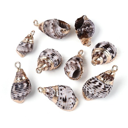 Electroplated Natural Shell Pendants BSHE-T015-03-1