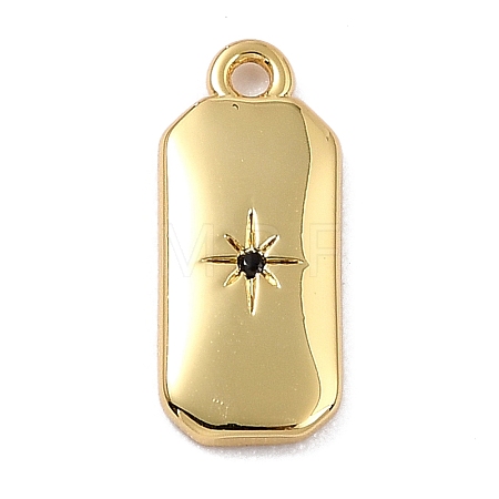Brass Micro Pave Cubic Zirconia Charms ZIRC-I054-12G-02-1