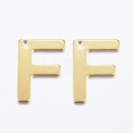 304 Stainless Steel Charms X-STAS-P141-F-1