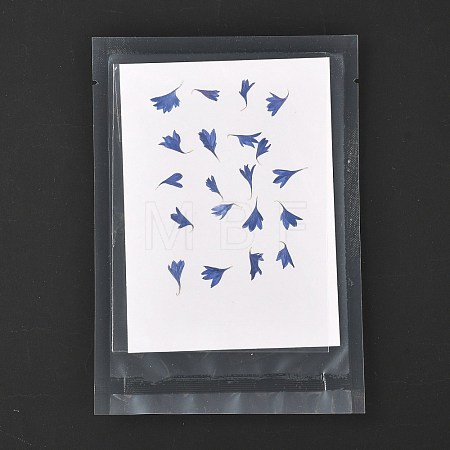 Cornflower Embossing Dry Flower DIY-K032-62B-1