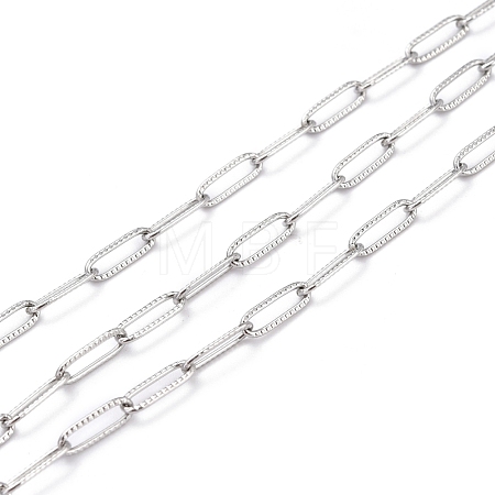Tarnish Resistant 304 Stainless Steel Paperclip Chains CHS-D033-06P-02-1