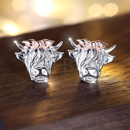 Alloy Stud Earrings FS-WG2CFEC-01-1