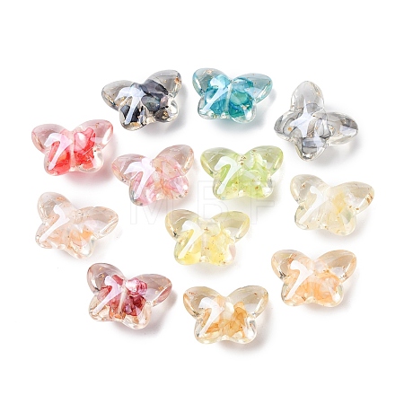 Transparent Resin & Natural Shell Beads RESI-B039-04-1