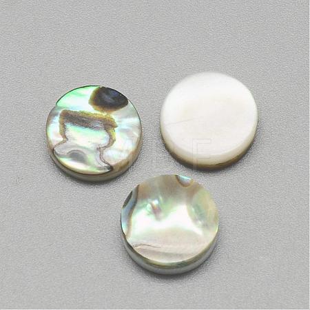 Paua Shell Cabochons SSHEL-R042-21-1