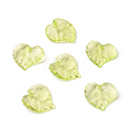 Transparent Acrylic Pendants DBLA410-9-1