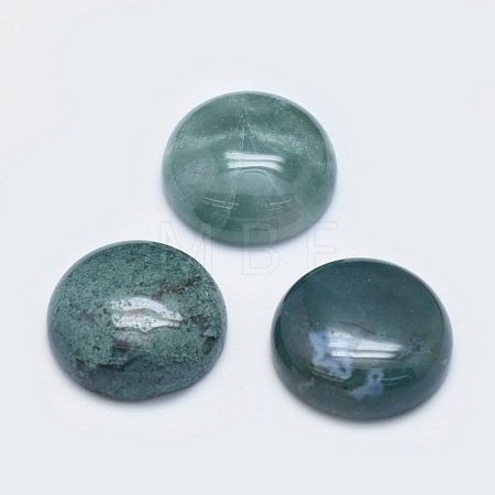 Natural Moss Agate Cabochons G-G760-B02-18-1