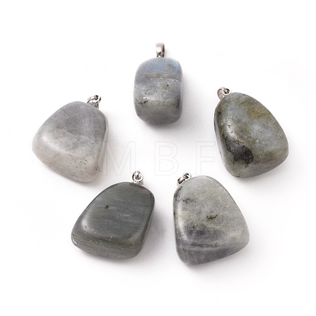 Natural Labradorite Pendants G-k302-B20-1