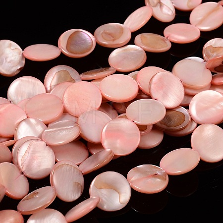 Natural Shell Beads Strands X-PBB251Y-6-1