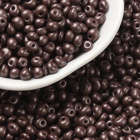 6/0 Glass Seed Beads X1-SEED-L011-08A-08-1
