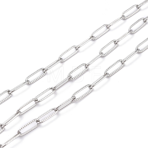 Tarnish Resistant 304 Stainless Steel Paperclip Chains CHS-D033-06P-02-1