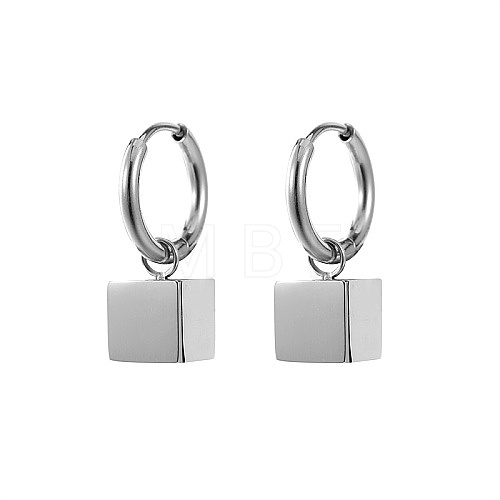 304 Stainless Steel Dangle Hoop Earrings NS0703-2-1