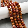 Dyed Natural Malaysia Jade Beads Strands G-G021-02B-23-5