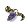 Natural Amethyst Pet Collar Charms HJEW-PH01731-5