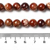 Natural Red Snakeskin Jasper Beads Strands G-H298-A02-03-5