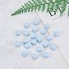 Food Grade Eco-Friendly Silicone Beads SIL-CJ0001-03-7