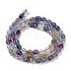 Natural Fluorite Beads Strands G-H320-A01-3