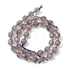 Natural Amethyst Beads Strands G-Z034-F11-01-3