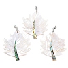 Natural Paua Shell & White Shell Pendants KK-C135-03P-1