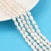 Natural Cultured Freshwater Pearl Beads Strands PEAR-P064-20H-03A-1