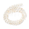 Transparent Glass Beads Strand GLAA-F112-04K-3