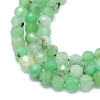 Natural Chrysoprase Beads Strands G-G106-C01-02-3