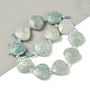 Natural Amazonite Beads Strands G-D316-A01-01-1