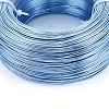 Anodized Aluminum Wire AW-S001-0.8mm-19-2