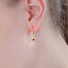Brass Enamel Leverback Dangle Earrings for Women WO0430-1