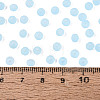 FGB Frosted Transparent Glass Seed Beads SEED-N013-04A-11-4
