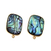 304 Stainless Steel Pave Natural Paua Shell Stud Earring Findings STAS-Z125-08G-2