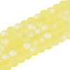 Frosted Transparent Glass Beads Strands GLAA-T032-T4mm-MBB12-1