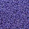MIYUKI Round Rocailles Beads SEED-G009-RR0432-2