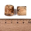 Natural Picture Jasper European Beads G-P520-05R-2